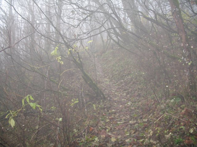 11.22.06 Cape Horn 002 